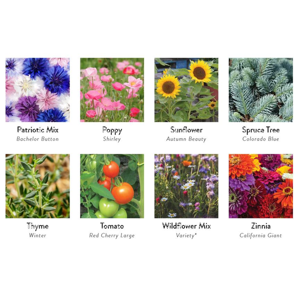 Stone Blossom Planter Kit