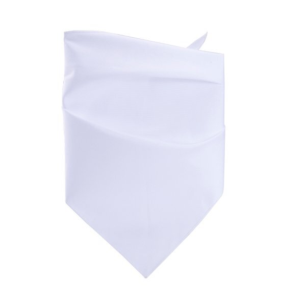 Dye Sublimated Pet Bandana