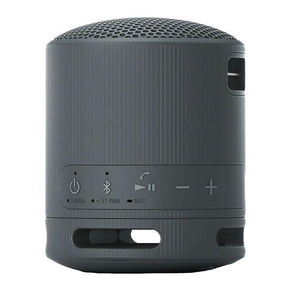 Sony® SRS-XB100 Bluetooth Speaker