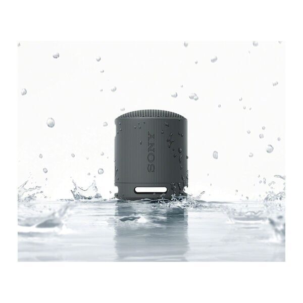Sony® SRS-XB100 Bluetooth Speaker