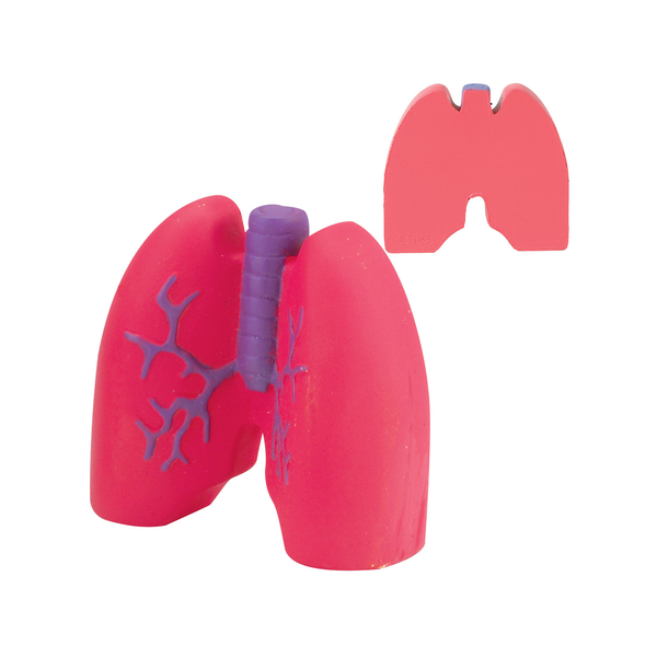 Lungs Shape Stress Reliever