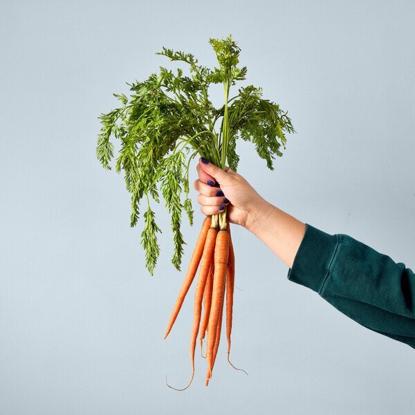 Modern Spout® Garden Seed Pop - Carrot Bunch