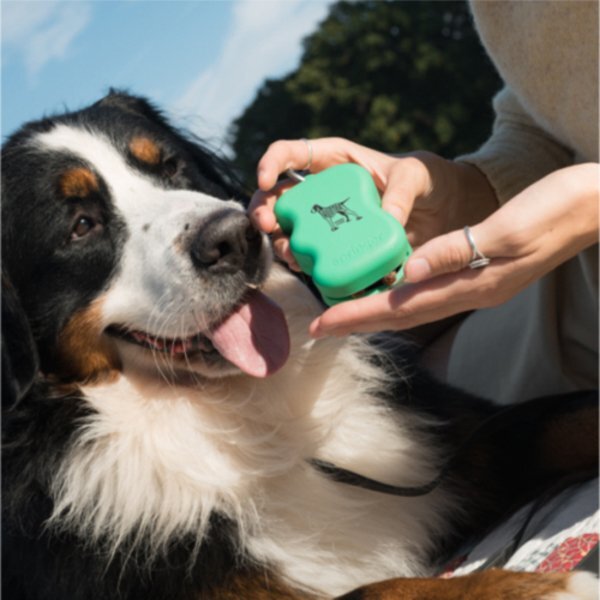 Springer Silicone Dog Treat Dispenser