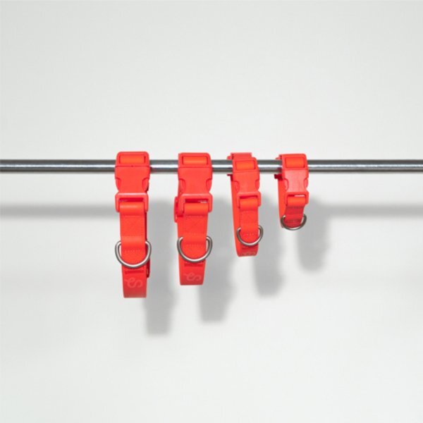 Springer Large Dog Collar