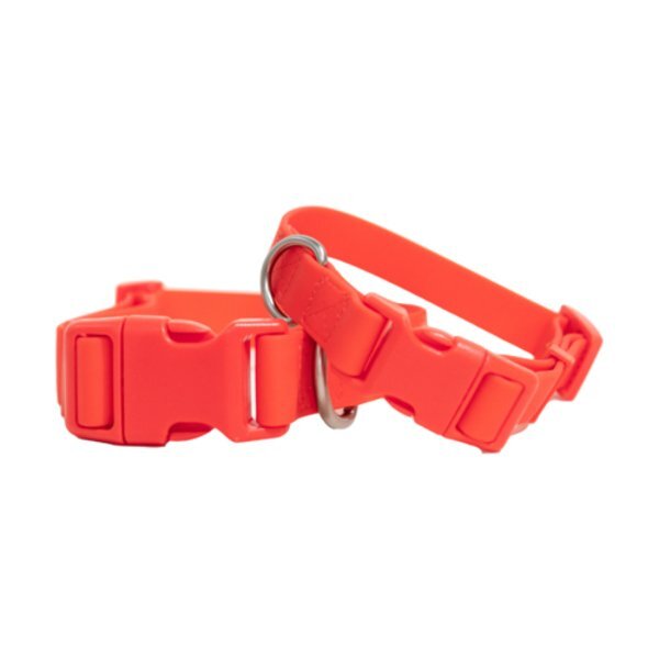 Springer Large Dog Collar