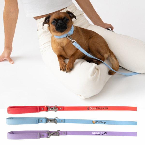 Springer Small Dog Leash, 4Ft.