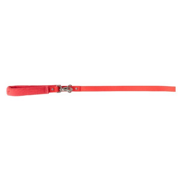 Springer Small Dog Leash, 4Ft.