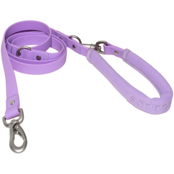 Springer Small Dog Leash, 4Ft.