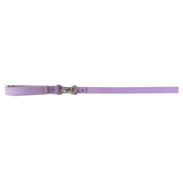 Springer Dog Leash, 5Ft.
