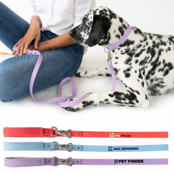 Springer Dog Leash, 5Ft.