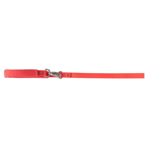 Springer Dog Leash, 5Ft.