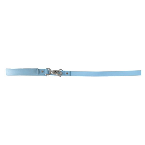 Springer Dog Leash, 5Ft.