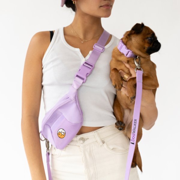 Springer 2-in-1 Sling Bag & Dog Leash Set