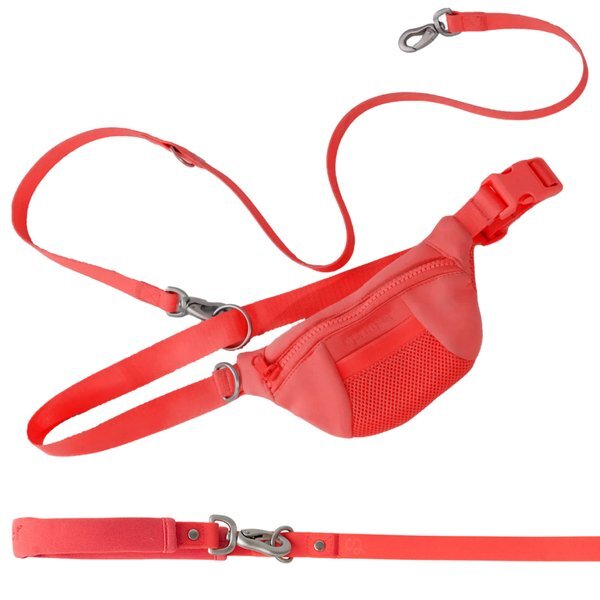 Springer 2-in-1 Sling Bag & Dog Leash Set