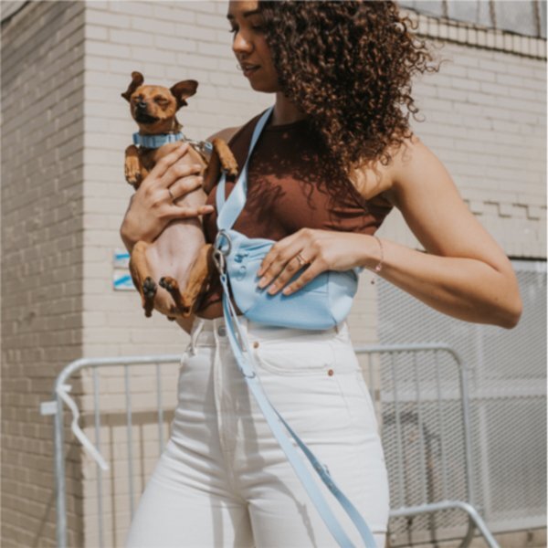 Springer 2-in-1 Sling Bag & Dog Leash Set