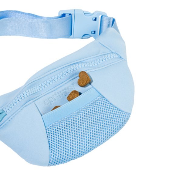 Springer 2-in-1 Sling Bag & Dog Leash Set