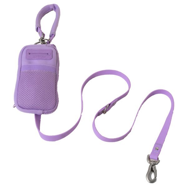 Springer 2-in-1 Walk Bag & Dog Leash Set