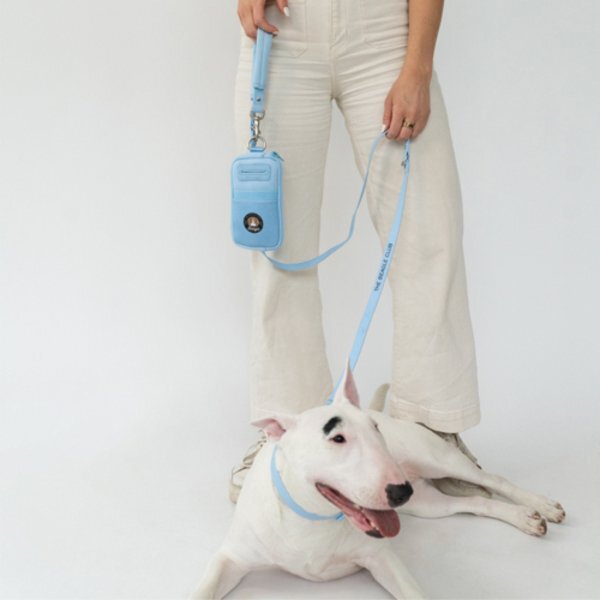 Springer 2-in-1 Walk Bag & Dog Leash Set