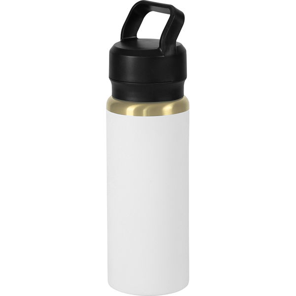 Urban Peak® Dual Top Gold Water Bottle, 28oz.