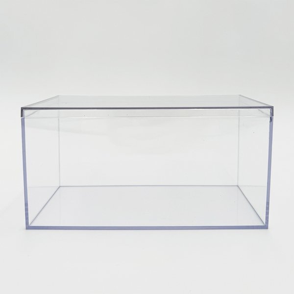 Clear Plastic Box, 8" x 4"