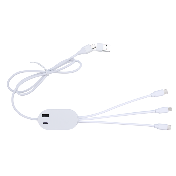 DualLink Charging Cable 2A with USB Hub