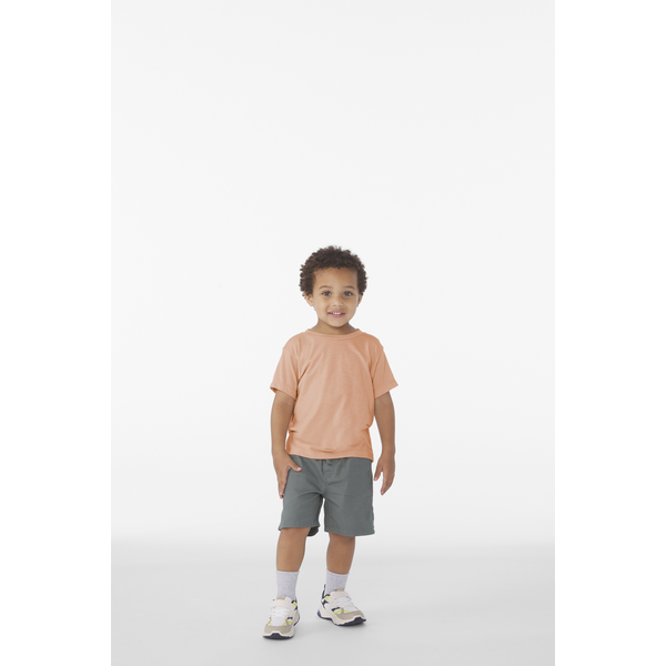 Bella + Canvas® Triblend Short Sleeve Toddler Tee