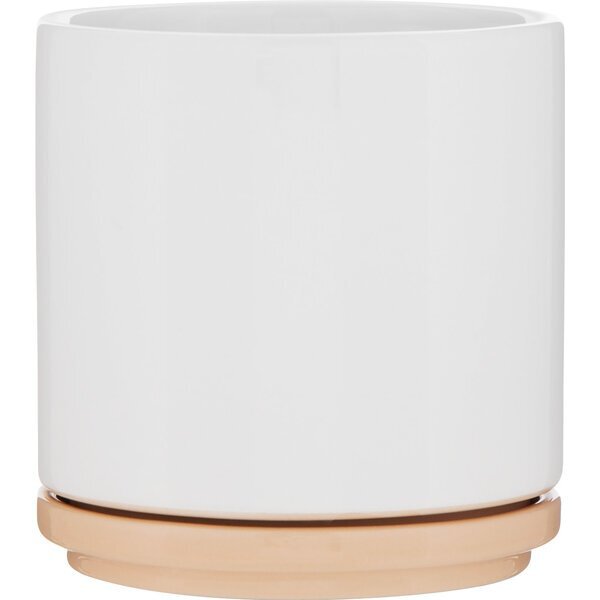 Blume Glossy Colored Ceramic Planter