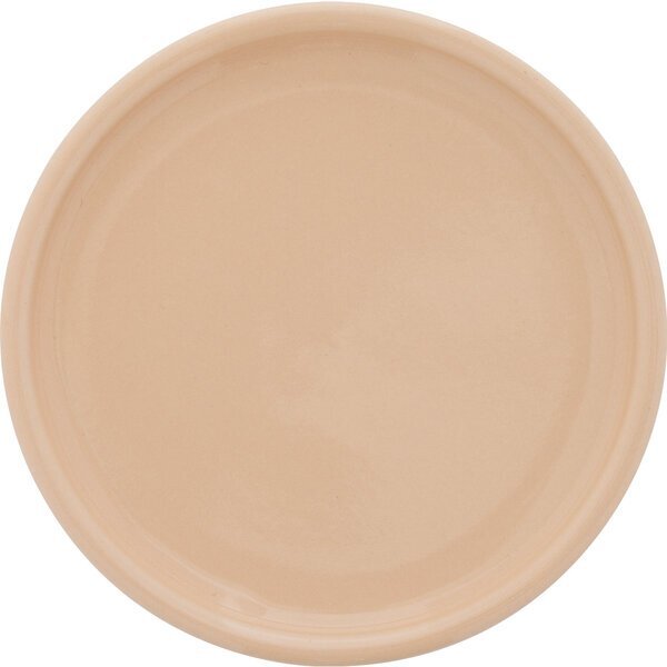 Blume Glossy Colored Ceramic Planter