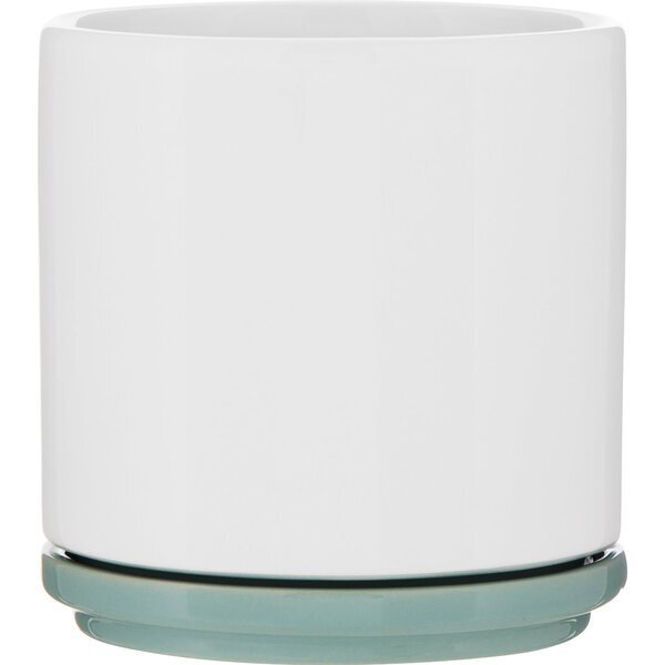 Blume Glossy Colored Ceramic Planter