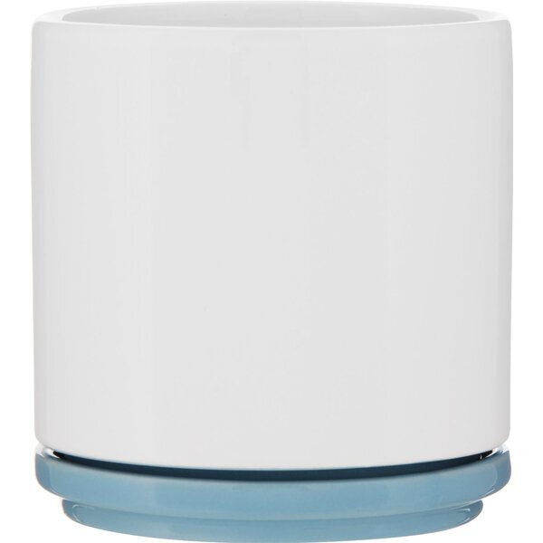 Blume Glossy Colored Ceramic Planter