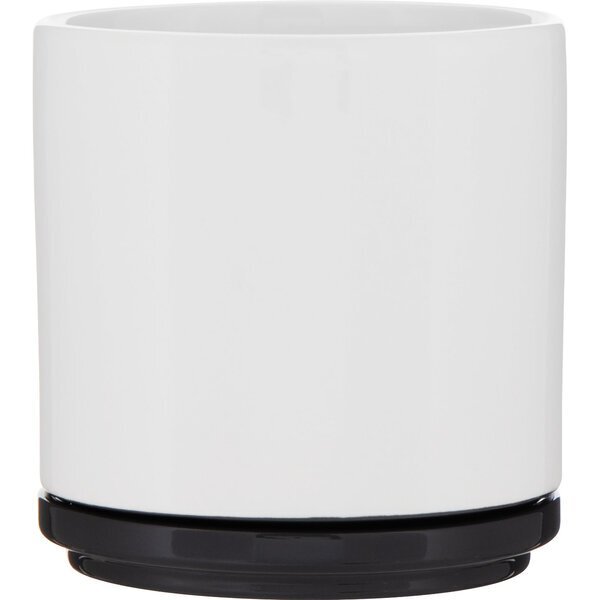 Blume Glossy Colored Ceramic Planter