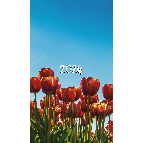 Colorful Impressions Monthly Pocket Planner