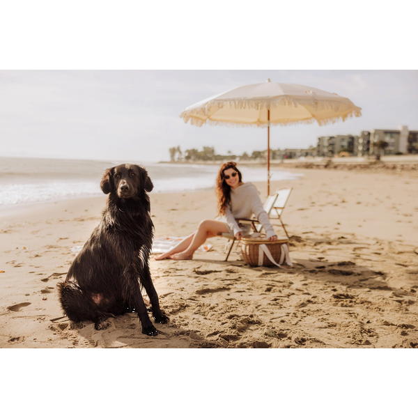 Castaway Insulated Cooler Picnic Basket