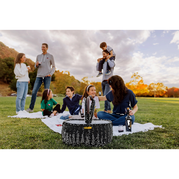 Evening Picnic Basket w/ Service for Two