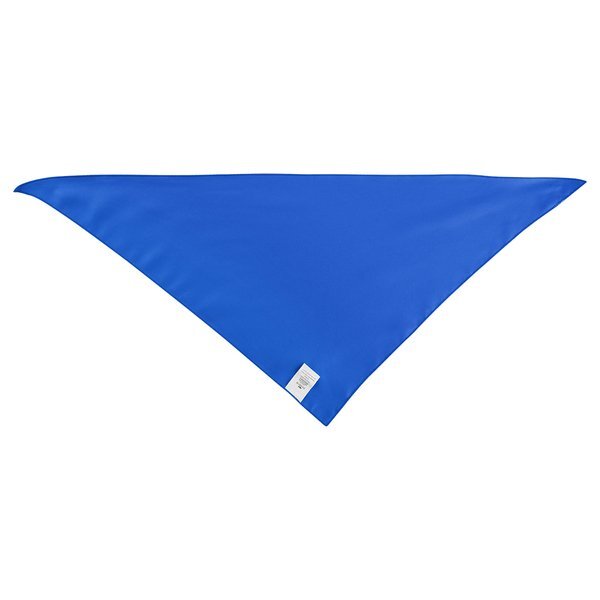 Large Triangle rPET Pet Bandana