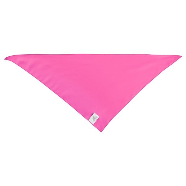 Large Triangle rPET Pet Bandana