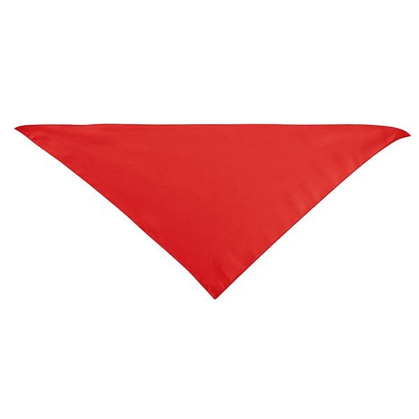 Large Triangle rPET Pet Bandana