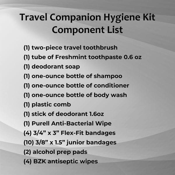 Travel Companion Hygiene Kit