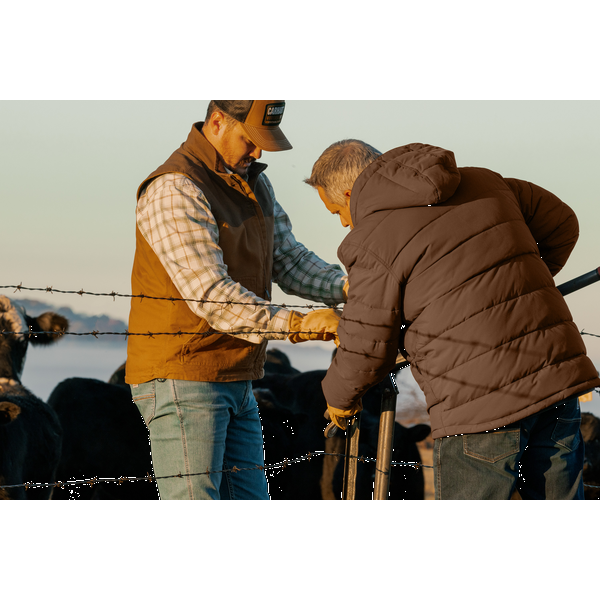 Carhartt® Montana Insulated Nylon Hooded Men's Jacket