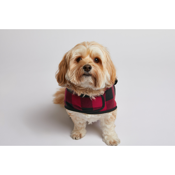 Port Authority® Pet Polyester Microfleece Jacket