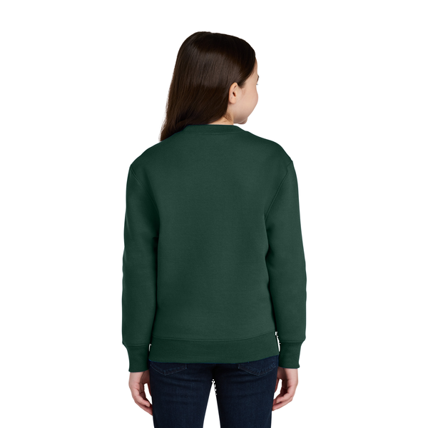 Port & Company® Core Fleece Crewneck Pocket Youth Sweatshirt
