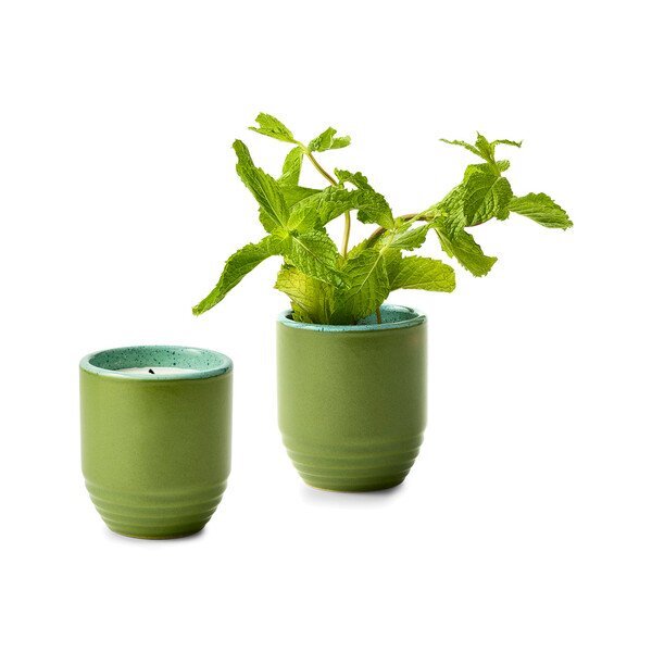 Modern Sprout® Garden Vibes Candle Mint Planter