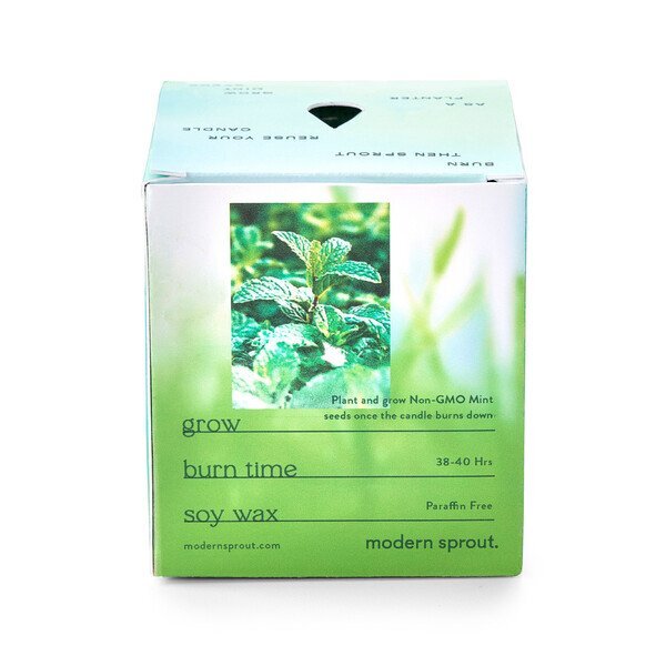Modern Sprout® Garden Vibes Candle Mint Planter