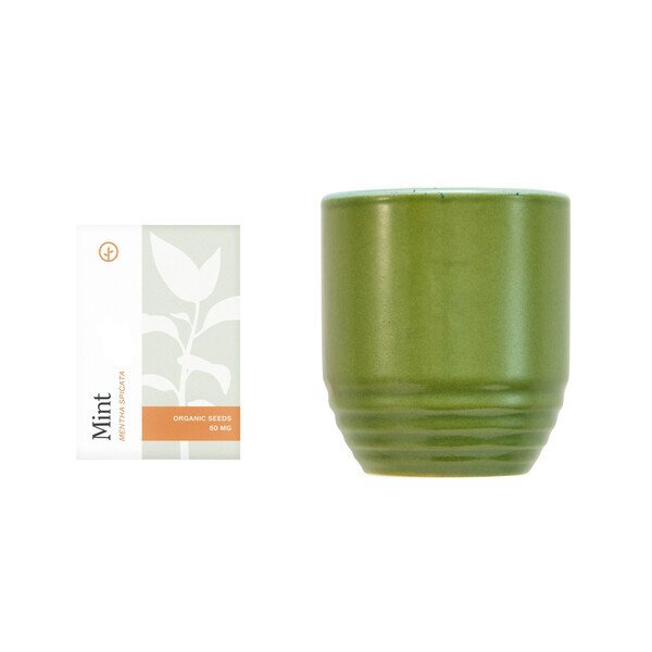Modern Sprout® Garden Vibes Candle Mint Planter