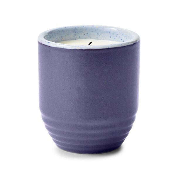 Modern Sprout® Garden Vibes Candle Lavender Planter