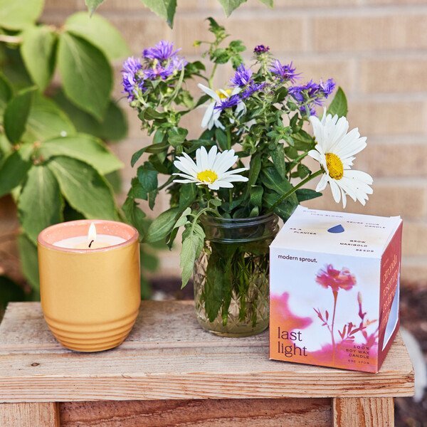 Modern Sprout® Garden Vibes Candle Marigold Planter