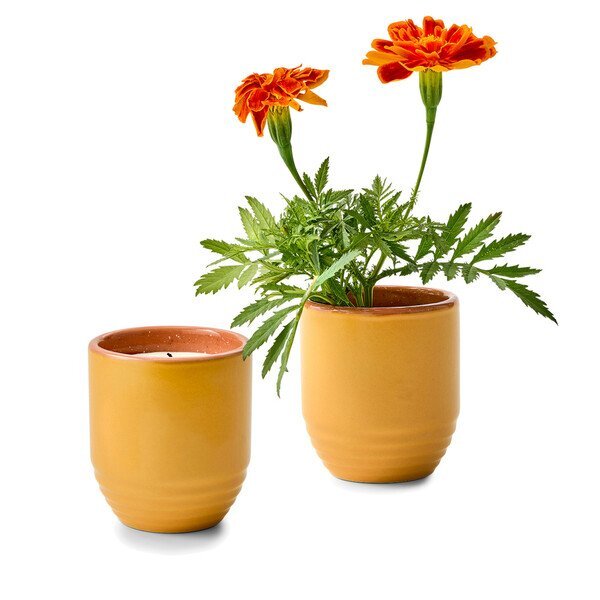 Modern Sprout® Garden Vibes Candle Marigold Planter