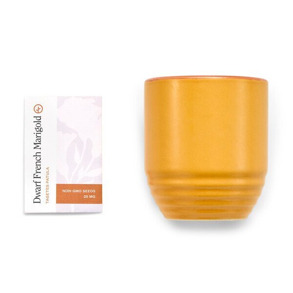 Modern Sprout® Garden Vibes Candle Marigold Planter