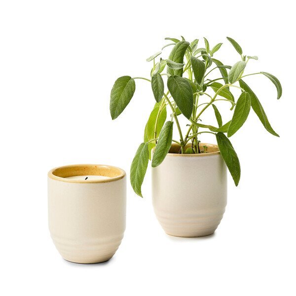Modern Sprout® Garden Vibes Candle Sage Planter