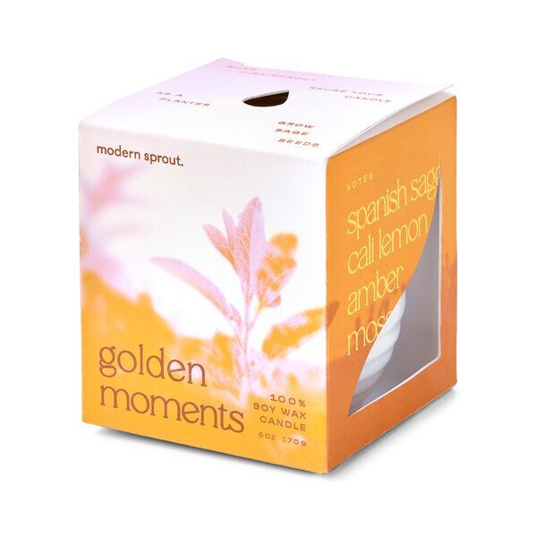 Modern Sprout® Garden Vibes Candle Sage Planter